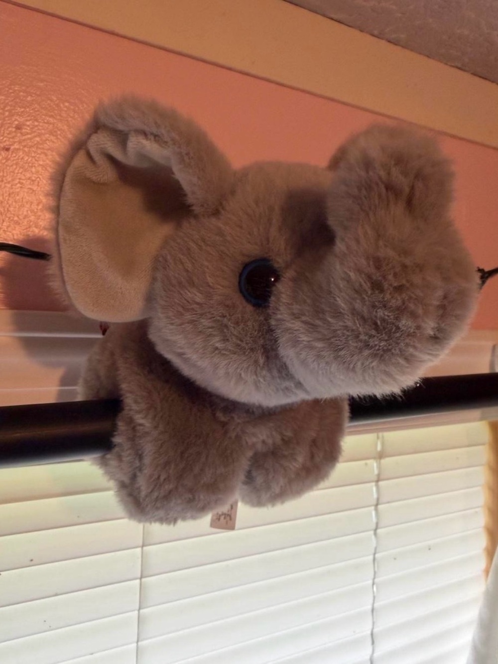 Plush Elephant Small Pet Toy - Gray